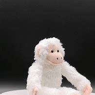 Image result for White Stuffed Monkey
