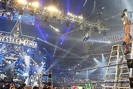 Image result for Wrestlemania 8