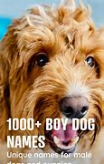 Image result for Cool Boy Dog Names