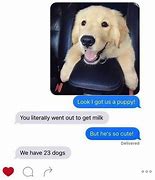 Image result for Dog Using iPhone Meme