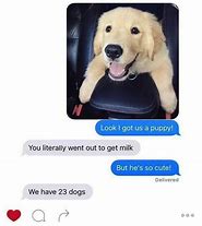 Image result for Cute Funny Dog Memes
