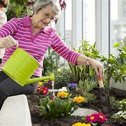 Image result for Seniors Gardening