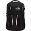 Image result for the north face backpacks color