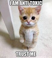 Image result for Toxic Cat Meme