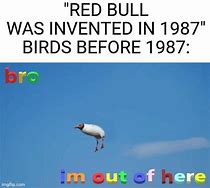 Image result for Red Bull Meme