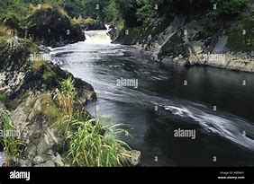 Image result for River Teifi Trimsaran