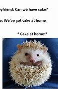 Image result for Hedgehog Birthday Meme