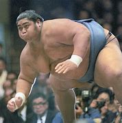 Image result for Largest Sumo Wrestler