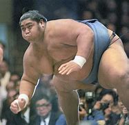 Image result for World Famous Sumo Wrestlers