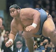 Image result for Who Is the Biggest Sumo Wrestler Ever
