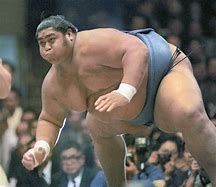 Image result for Heaviest Sumo