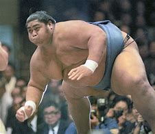 Image result for Tallest Sumo Wrestler