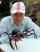 Image result for Dog in the World Biggest Spider