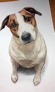 Image result for Dog Drawing HD