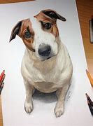 Image result for Colorful Dog Drawings