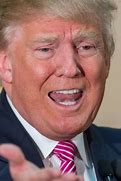 Image result for Forbes Donald Trump