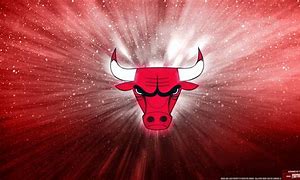 Image result for Chicago Bulls New Logo