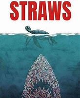 Image result for Funny Plastic Straw Memes