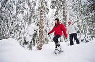 Image result for Canadian Snowshoes