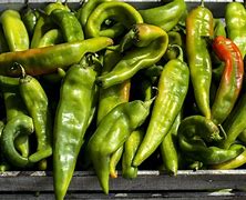 Image result for Hatch Chiles