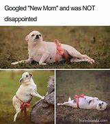 Image result for Good Morning Pregnant Meme