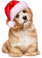 Image result for Funny Dog Christmas Cartoons