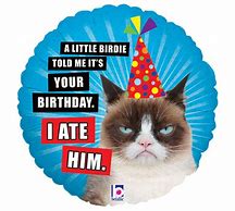 Image result for Funny Happy Birthday with Grumpy Cat