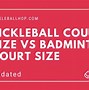 Image result for Pickleball vs Badminton