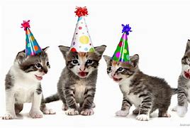 Image result for Cat Birthday Decorations