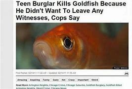 Image result for News Headline Meme