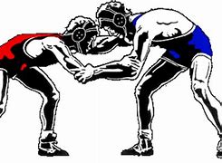 Image result for USA Wrestling Logo