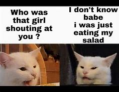 Image result for White Cat Crying Meme