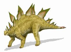Image result for Wild Safari Stegosaurus