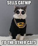 Image result for Cat Work Meme