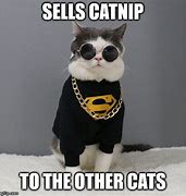 Image result for Cat Lady Meme