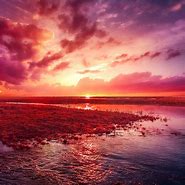 Image result for Nature Wallpaper for iPad Pro