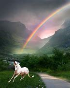 Image result for Unicorn Farts and Rainbows Paradise