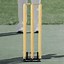 Image result for Cricket Stumps Wooden Texture