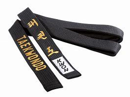 Image result for Black Belt Taekwondo Mac Academy Las Vegas