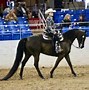 Image result for Horse Riding Tips Western