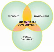 Image result for Sustainable Development Definition