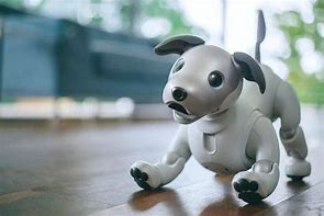 Image result for Aibo 2