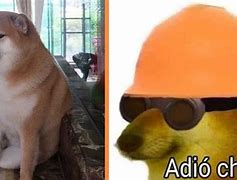 Image result for Adios Chula