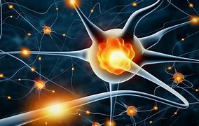 Image result for Neurogenesis Example