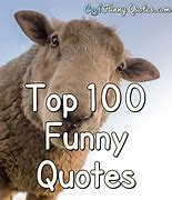 Image result for Popular Funny Quotes