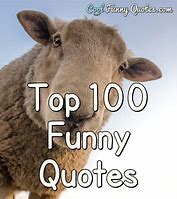 Image result for Silly Short Quotes