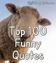 Image result for Humor Quotes Funny
