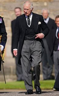 Image result for King Charles III Morning Suit