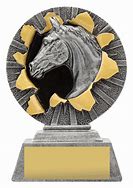 Image result for Horse Competition Trophies