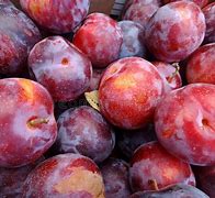 Image result for Cherry Pluot